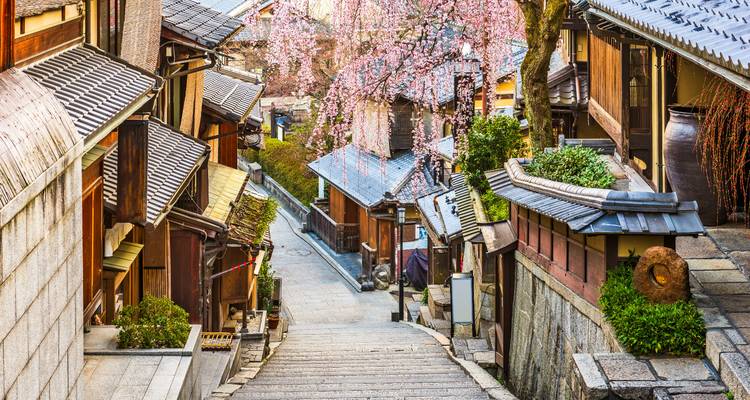 8D Espléndido Japón Grupo pequeño (máx. 15)(hoteles de 3 estrellas) - Stunning Tours 10
