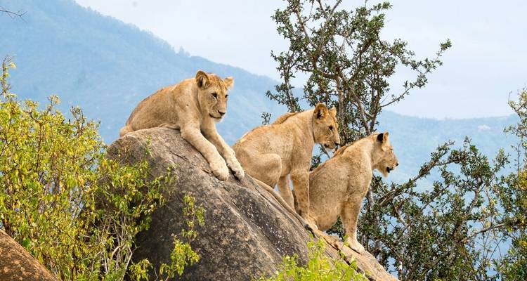 Kenia: 9 días de maravillas naturales y relax costero con todas las comidas - Wanderful Holidays LLC 4