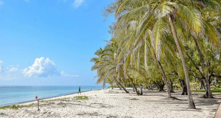 Kenia: 9 días de maravillas naturales y relax costero con todas las comidas - Wanderful Holidays LLC 7