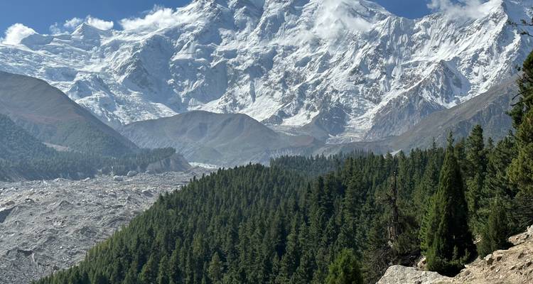 Mountain forest with snow-covered peaks in the distance.