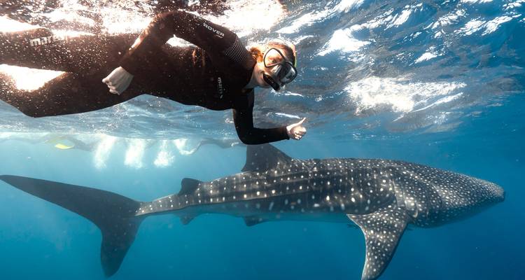 Escapada de ensueño de 7 días a las Maldivas: Dicha de sol, arena y snorkel - Autopia Tours 3