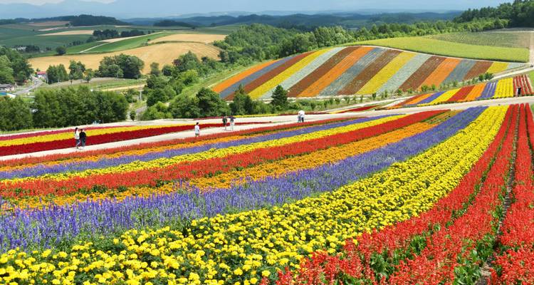 Active Northern Japan: Winter in Tokyo & Hokkaido - G Adventures 4