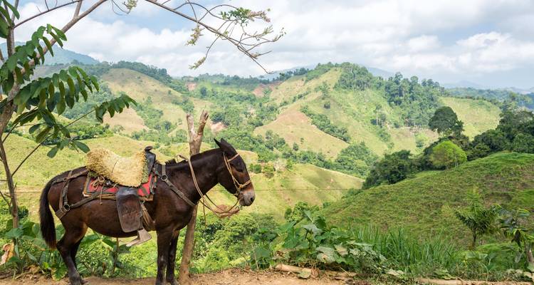 Colombia Calling: Where Life is Full of Coffee & Colors (4 destinations) - journaway 6