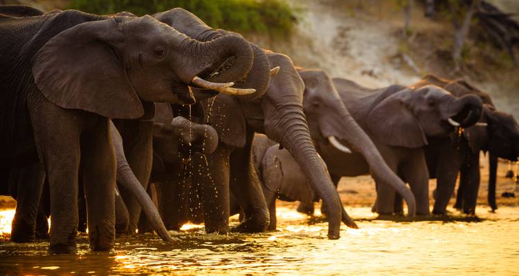 Great African Road Trip: Desert Dreams & Safari Wonders (32 destinations) - journaway 3