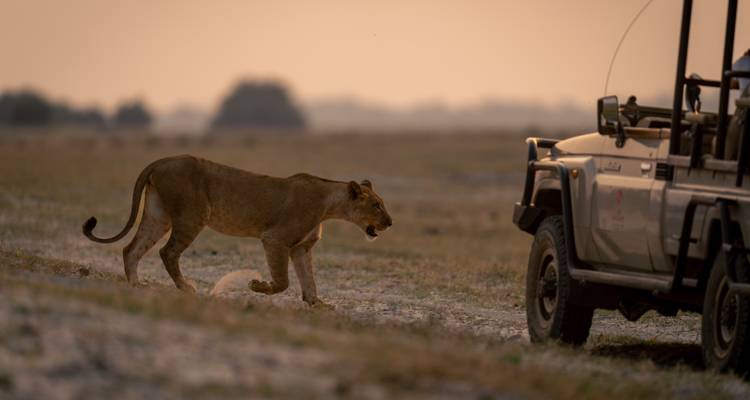 Great African Roadtrip : Rêves de désert et merveilles de safari (30 destinations) - journaway 9
