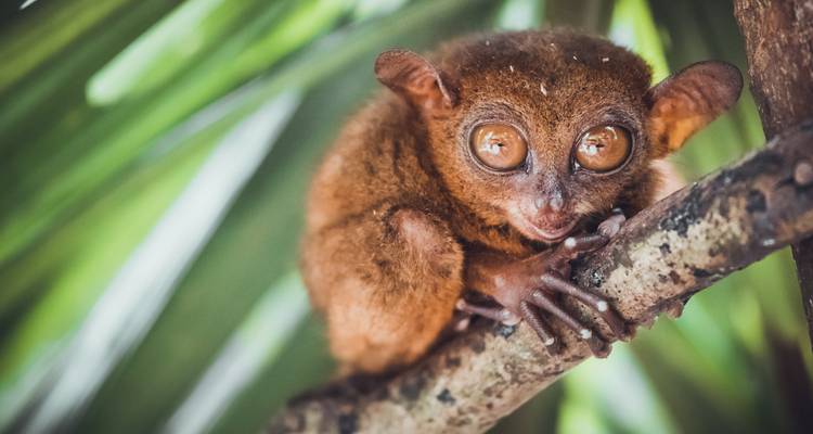 Filipinas te llama: ¡Edición Island Hopping! - journaway 1