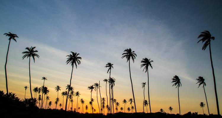 Best of Colombia : Coffee, Colours & Coastal Dreams (Le meilleur de la Colombie : café, couleurs et rêves côtiers) - journaway 1