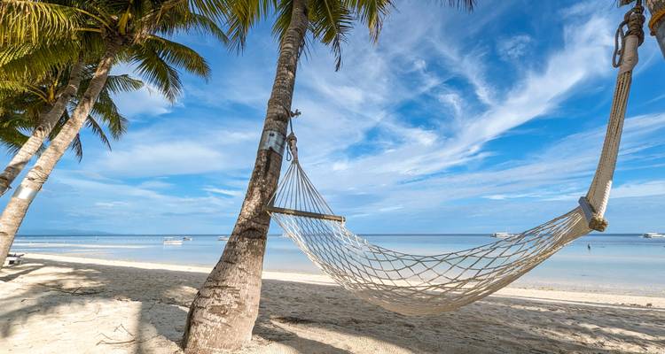 Hängematte zwischen Palmen am Strand gespannt