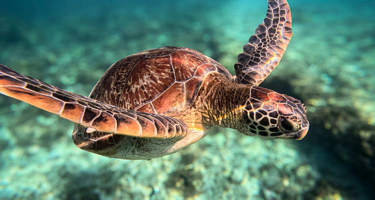 Filipinas te llama: ¡Edición Island Hopping! - journaway 2