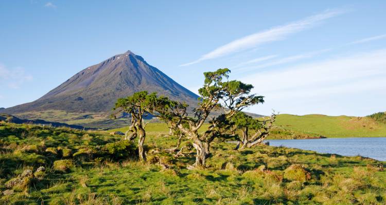 Shopping dans les îles des Açores : road trip entre les volcans verdoyants (from Ponta Delgada to Île de Terceira) - journaway 5
