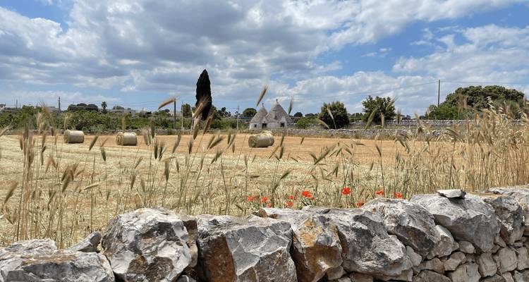 Amalfi et les Pouilles en 8 jours ! - Italy on a Budget Tours 2