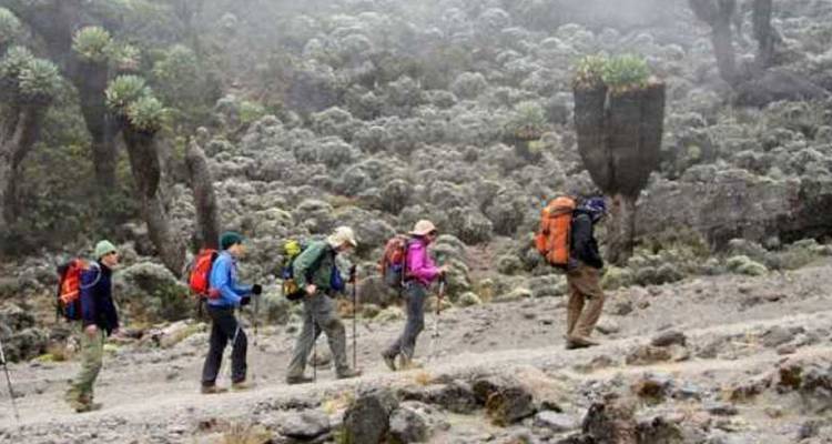 Ascenso al Kilimanjaro Ruta Rongai. - Hazzes Adventure 1