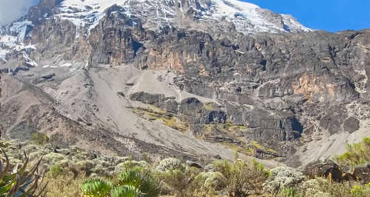 Ascenso al Kilimanjaro Ruta Rongai. - Hazzes Adventure 2