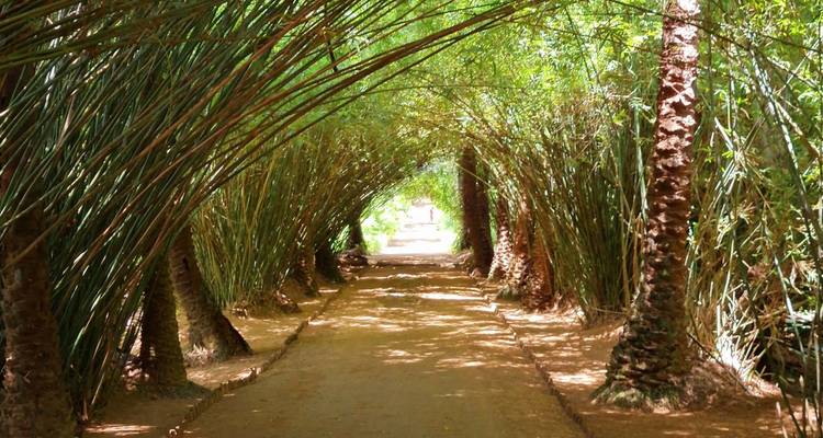 Fort-Dauphin and its wonders - Travelia Safari 1