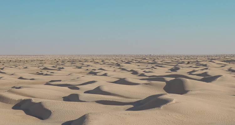 Vastes dunes de sable du désert sous un ciel bleu dégagé.
