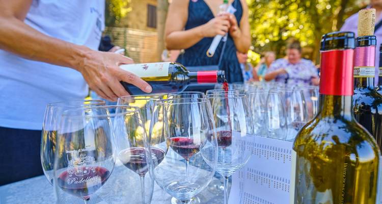 Val D'orcia y Ruta del Vino Chianti - 2 Días - Click Tours 2