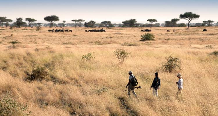 10 jours - Les merveilles indomptées du Kenya : Safari dans des parcs emblématiques - T.S TOURS 3