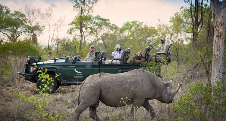 Safari de la faune et des merveilles de Tanzanie - 6 jours - T.S TOURS 6