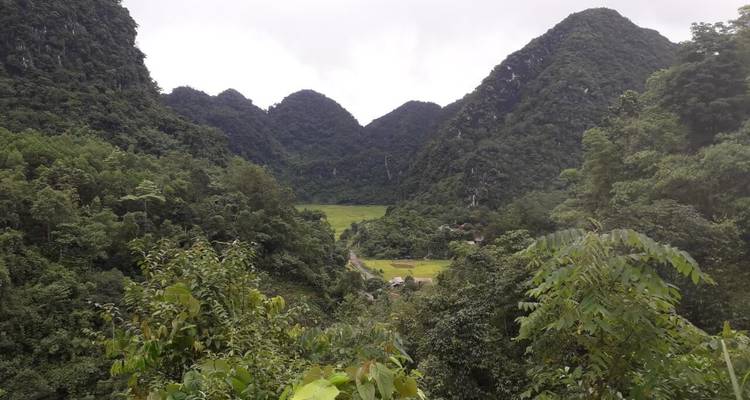 Paisaje montañoso verde y denso con un valle.