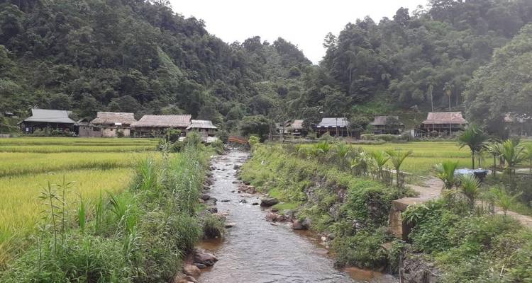 Arroyo que atraviesa un pueblo rural con campos de arroz.