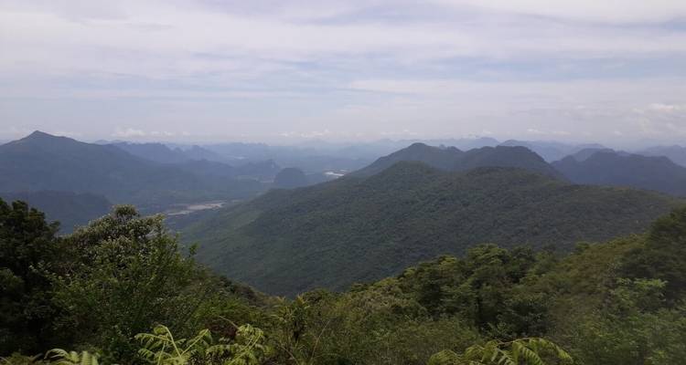 Vista expansiva de montañas con exuberantes bosques verdes en primer plano.