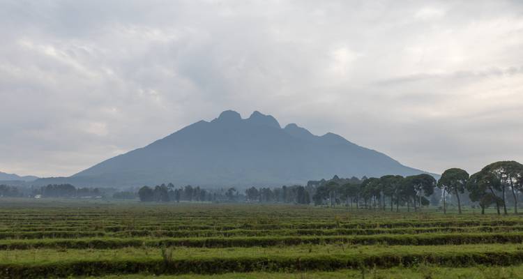 3 Days Rwanda Gorilla Safari Adventures - Rwanda Eco Company and Safaris  3