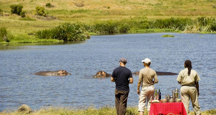 Safari privado de 3 días en Tarangire y Ngorongoro, de gama media, desde y hacia Zanzíbar - African Polecat Safaris 2