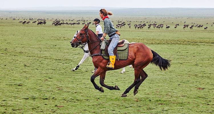 4-Day Serengeti Migration Private Luxury Safari From & To Zanzibar - African Polecat Safaris 4