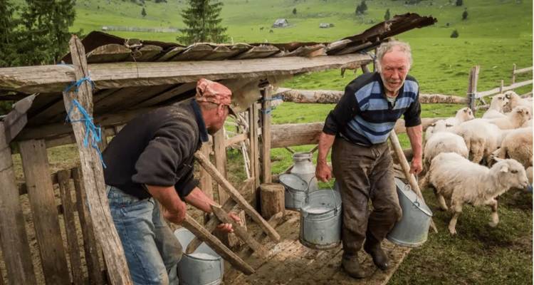 Expérience de luxe de 7 jours : Les meilleurs vins de Roumanie, un château de conte de fées, des villes médiévales et des joyaux cachés - Transylvania Discovery Tours 6