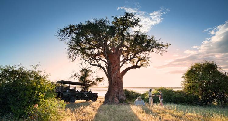 Escapada Salvaje y Playera: Safari de 10 días por Tanzania y vuelo a Zanzíbar - T.S TOURS 3