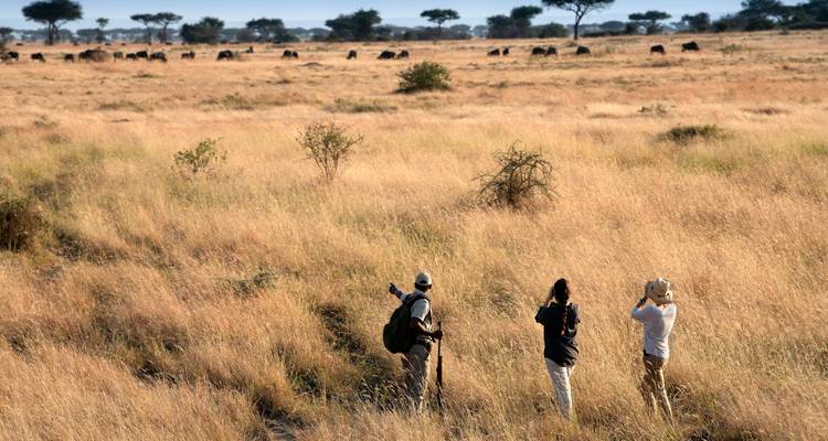 Escapada Salvaje y Playera: Safari de 10 días por Tanzania y vuelo a Zanzíbar - T.S TOURS 7