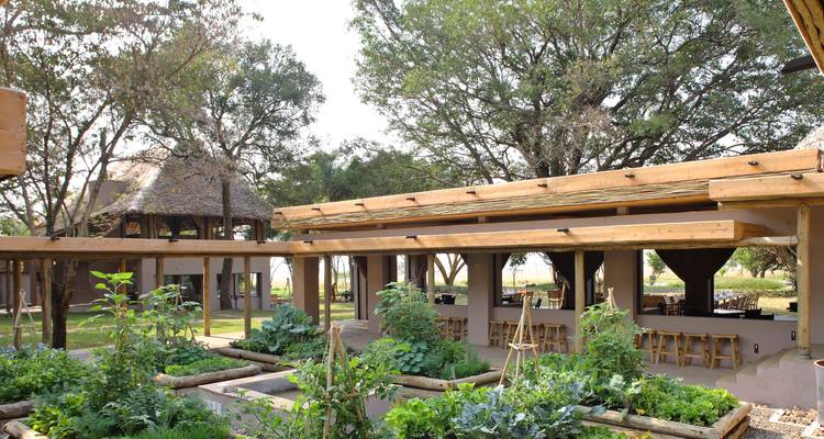Safari aérien de luxe de 10 jours au Kenya - T.S TOURS 7