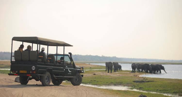 Safari de lune de miel en Afrique du Sud, aux chutes Victoria et au Botswana - T.S TOURS 10