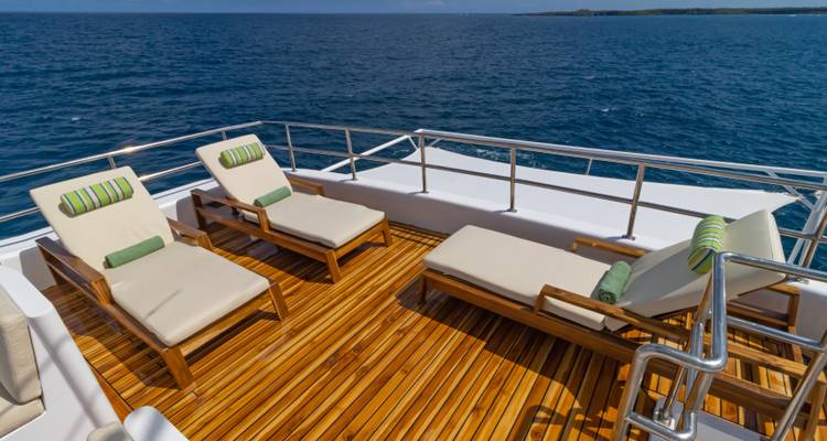 Ángel de las Galápagos - 8 días itinerario A - Royal Galapagos 7