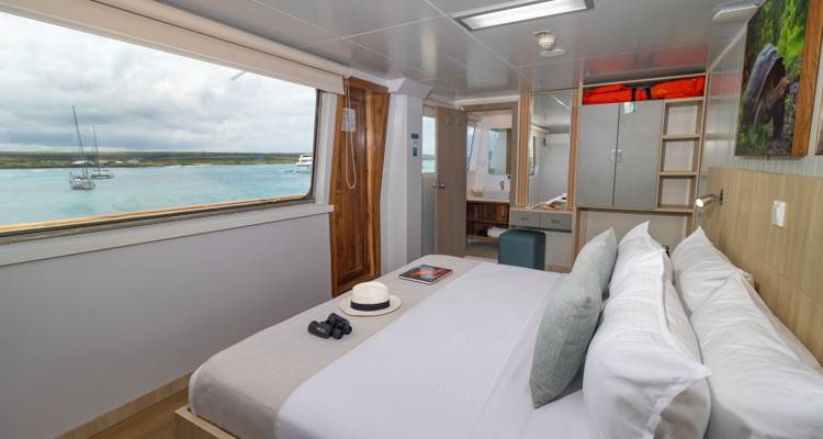 Ángel de las Galápagos - 8 días itinerario A - Royal Galapagos 2