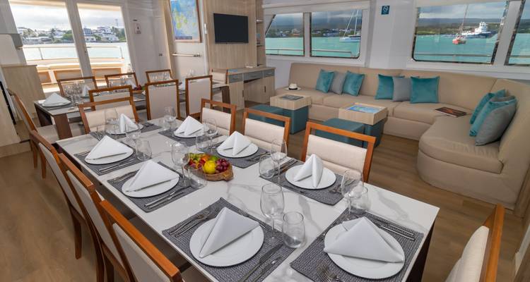Ángel de las Galápagos - 8 días itinerario A - Royal Galapagos 6