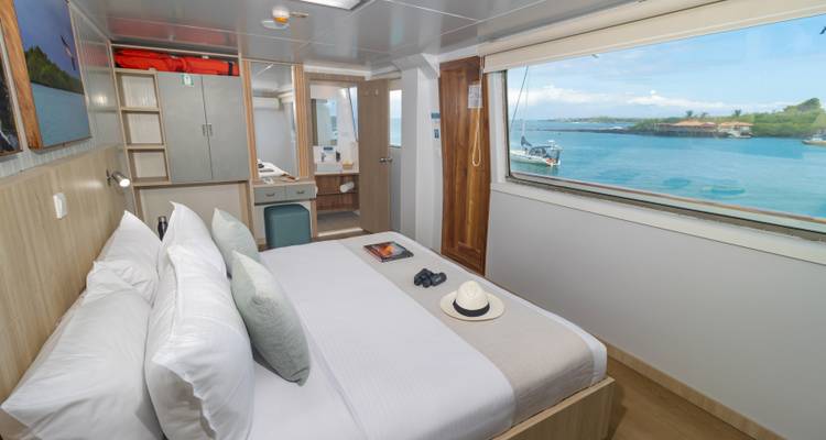 Ángel de Galápagos - 5 días itinerario A - Royal Galapagos 4