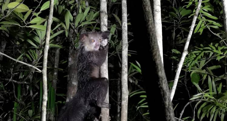 Vida salvaje Madagascar | Viajes de Naturaleza y Cultura - HT Agency Tours 4