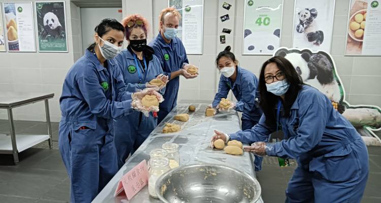 Excursión de 4 días a Chengdu como Voluntario para Pandas - Joy Travel 1