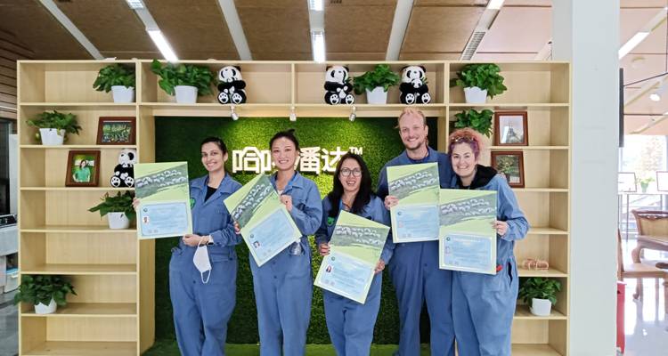 Excursión de 4 días a Chengdu como Voluntario para Pandas - Joy Travel 2
