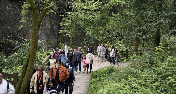 Excursión de 4 días a Chengdu como Voluntario para Pandas - Joy Travel 9