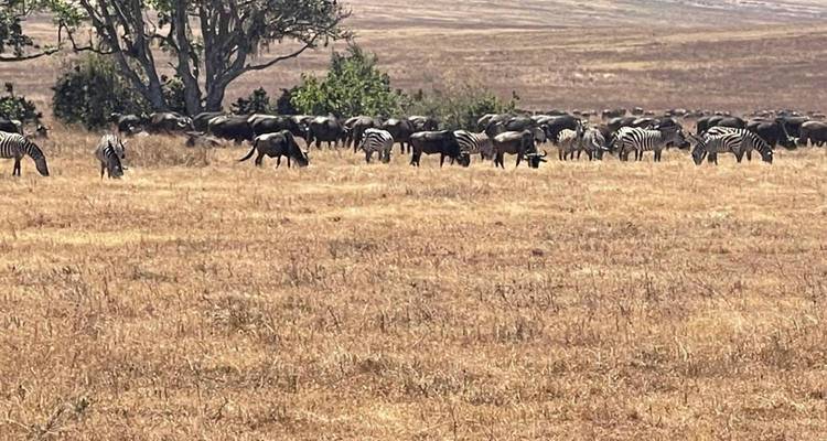 Arusha National Park Day Safari - Kilimanjaro Wonders Expedition Safari 6