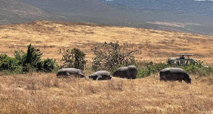 Arusha National Park Day Safari - Kilimanjaro Wonders Expedition Safari 9