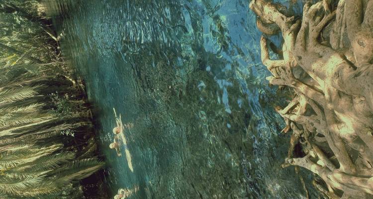 Menschen schwimmen in einem klaren blauen Fluss, umgeben von üppiger Vegetation.