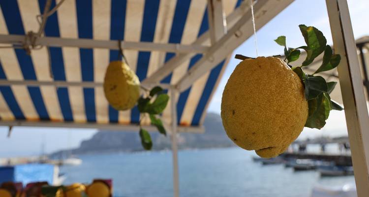 4 Day Palermo, Italy - STM Tours LLC 3