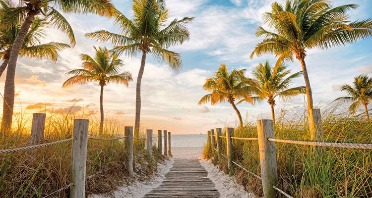 Pad door palmbomen die leidt naar een strand met zonsondergangverlichting.