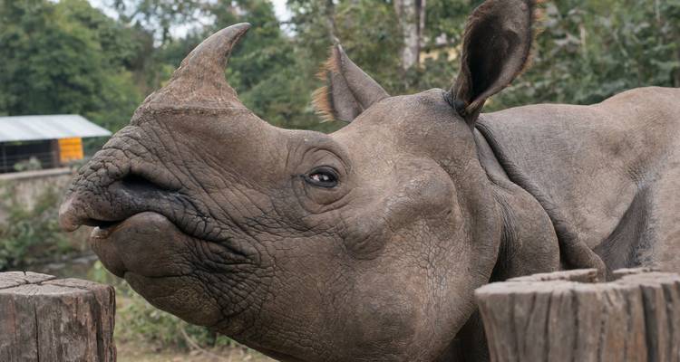 Kathmandu Valley and Bardia National Park Tour - 8 Days - Himalayan Glacier Adventure and Travel Company 4