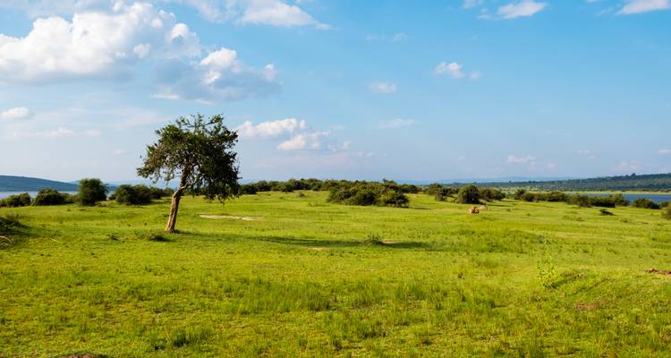 2 Day Akagera National Park - Rwanda Eco Company and Safaris  5