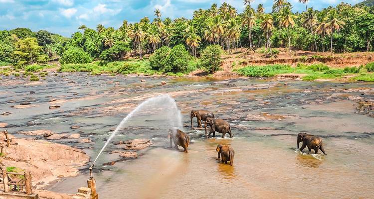 Historical Wonders of Sri Lanka Family Tour, Daily Departure - Agate Travel 2