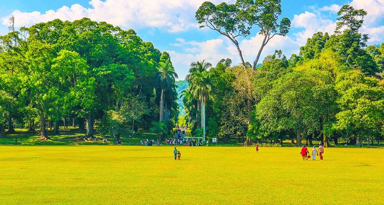 Historical Wonders of Sri Lanka Family Tour, Daily Departure - Agate Travel 6
